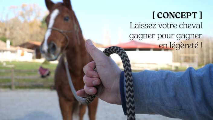 [VIDEO – YOUTUBE] Laisser votre cheval gagner, vous gagnerez en légèreté !