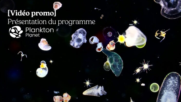 [VIDEO] Teaser de présentation du programme Plankton Planet ~ Sciences participatives