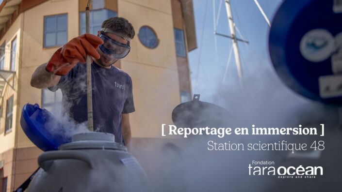 [VIDEO] Station scientifique 48